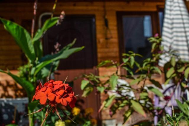 Backyard Apartment Охрид Экстерьер фото
